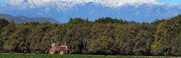 UCR Agricultural Operations, tractor, mountains (c) UCR / Stan Lim