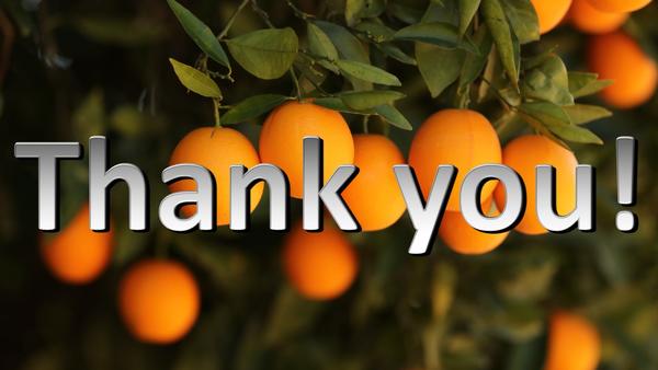 Sponsor header picture