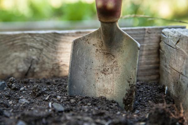 Small shovel in soil